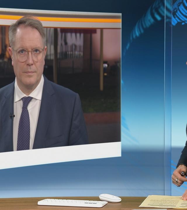 SGS-Schweitzer-Hayali