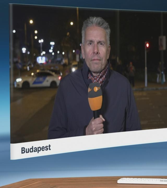 bewerunge-sgs-hayali