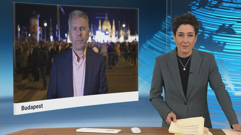 sgs-hayali-bewerunge