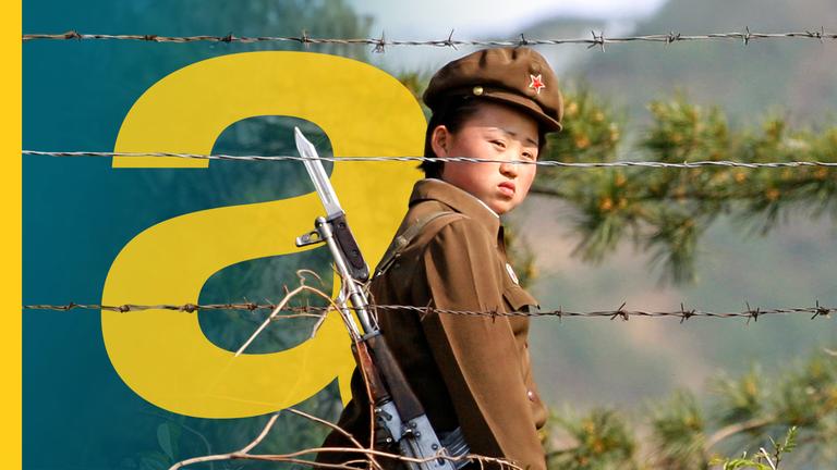 Eine nordkoreanische Soldatin blickt hinter einem Stacheldrahtzaun hervor.