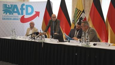 Ein Bild des Landesverbandes der AFD in Sachsen Anhalt 