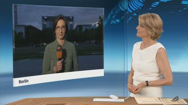 sgs zimmermann steuer
