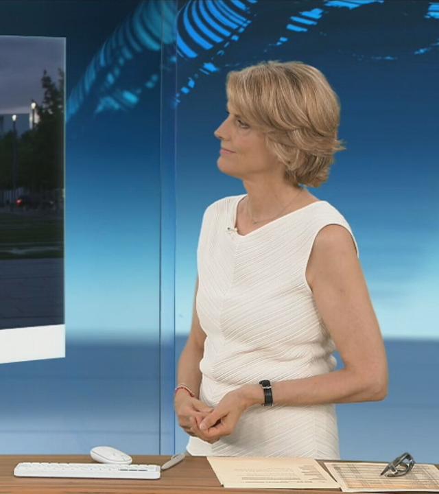 sgs zimmermann steuer