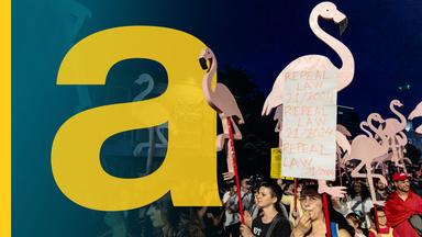 Demonstranten mit Flamingo-Schildern bei Nacht.
