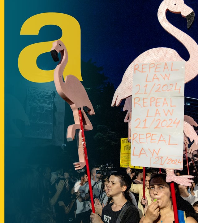 Demonstranten mit Flamingo-Schildern bei Nacht.
