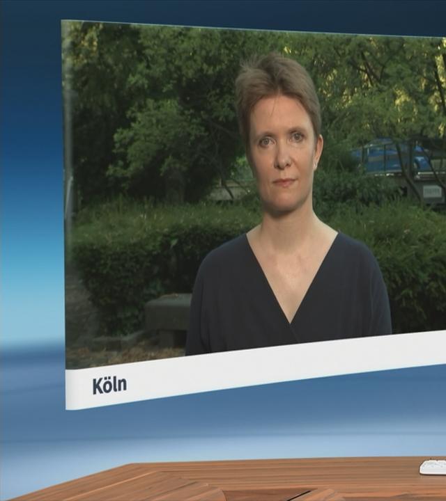 SGS Gellinek Fischer