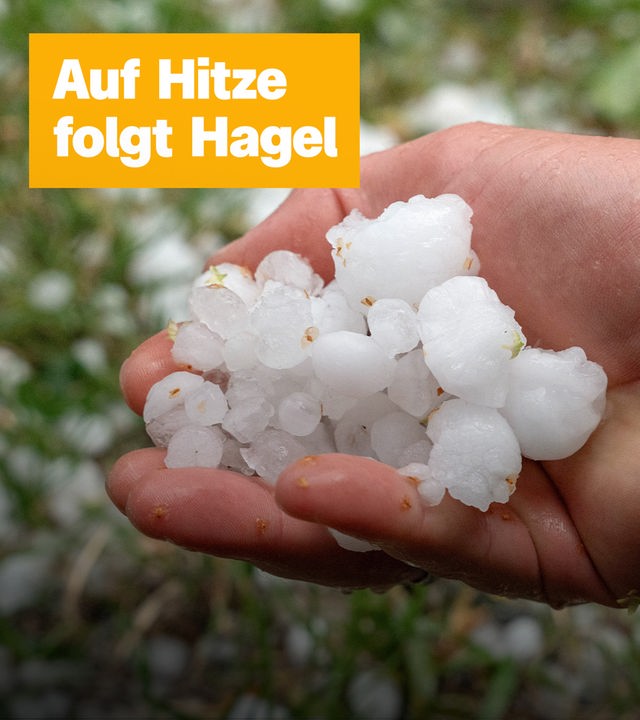 Auf Hitze folgt Hagel; Eine Hand voll mit weißen Hagelkörnern.