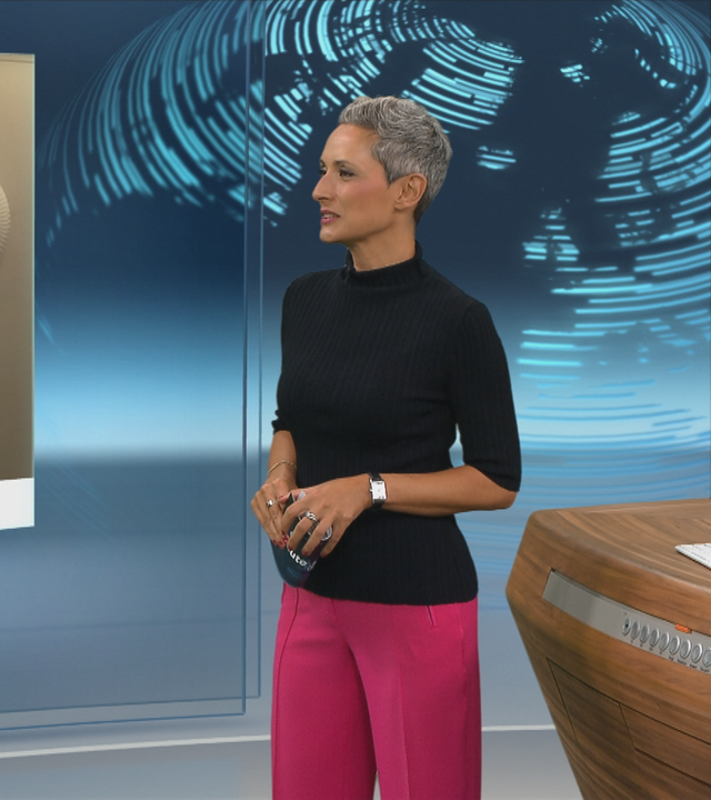 sgs stegemann klimawandel