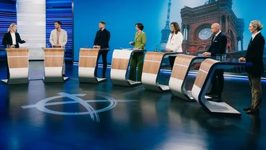 Von links: Ines Schwerdtner, Felix Banaszak, Tim Klüssendorf, Diana Zimmermann, Franziska Hoppermann, Alexander Hoffmann, Alice Weidel