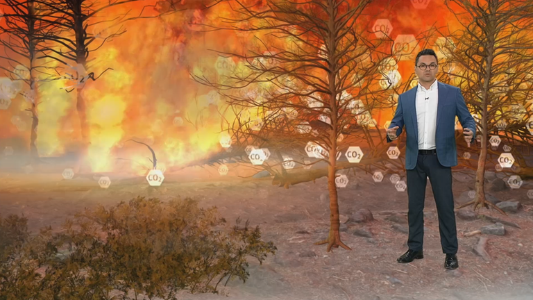 Meteorologe Özden Terli erklärt, warum Waldbrände für die CO2-Bilanz schlecht sind.