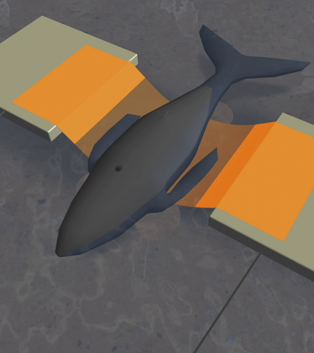 Das Grafikvideo erklärt grafisch, wie der Wal Timmy in der Ostsee gerettet werden soll.