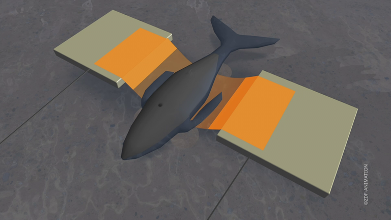 Das Grafikvideo erklärt grafisch, wie der Wal Timmy in der Ostsee gerettet werden soll.