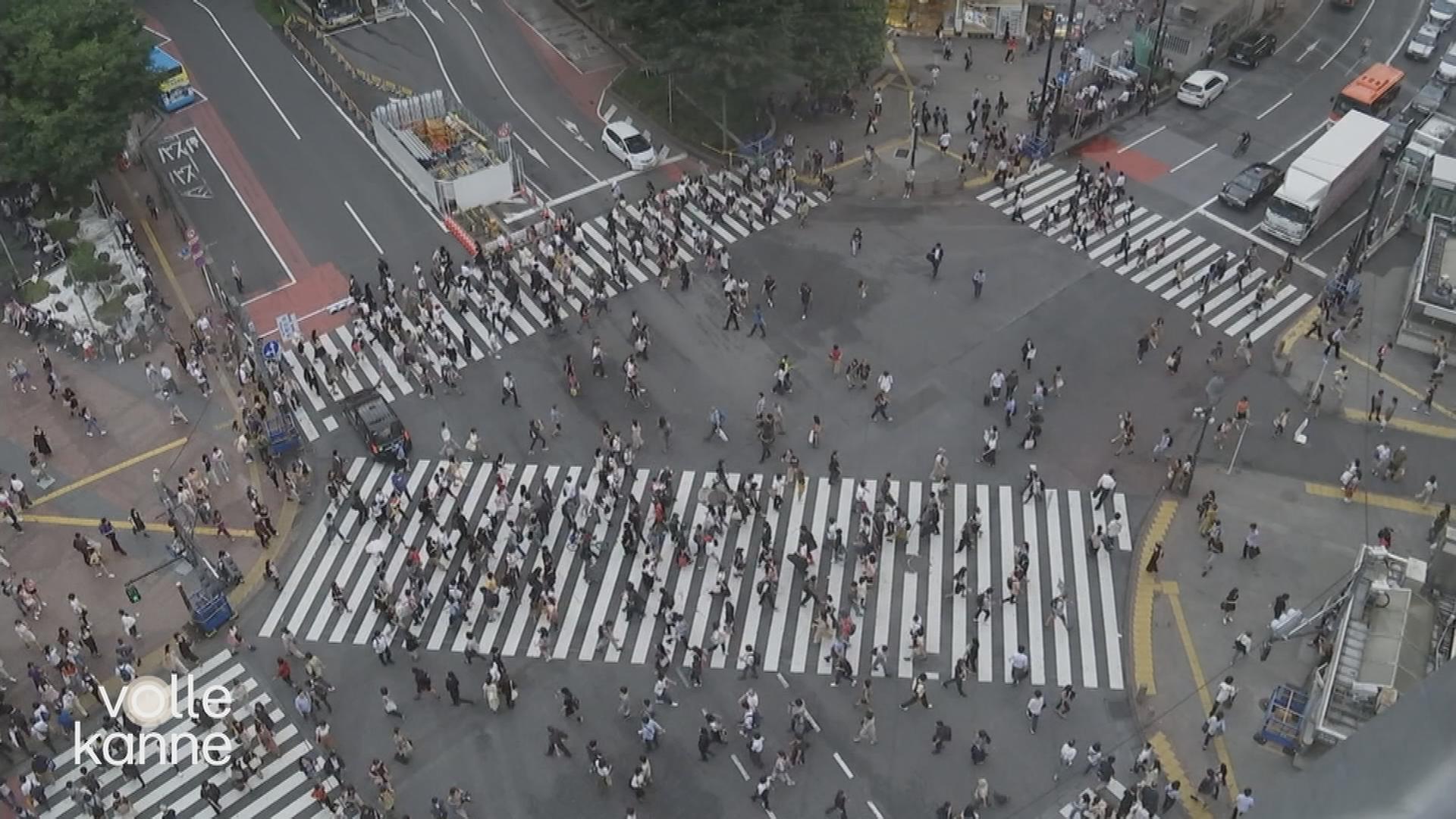 70 Jahre Zebrastreifen