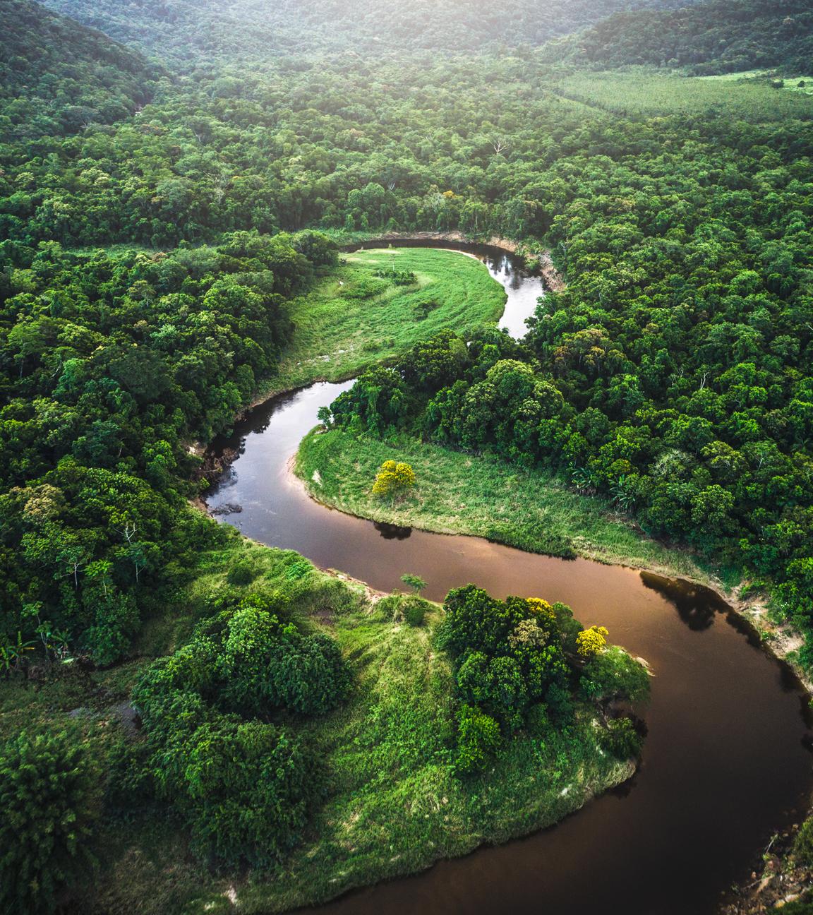 Der Flusslauf des Amazonas schlängelt sich durch ein von Regenwald bewachsenes Tal in Brasilien.