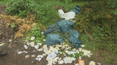 Abfallentsorgung im Wald