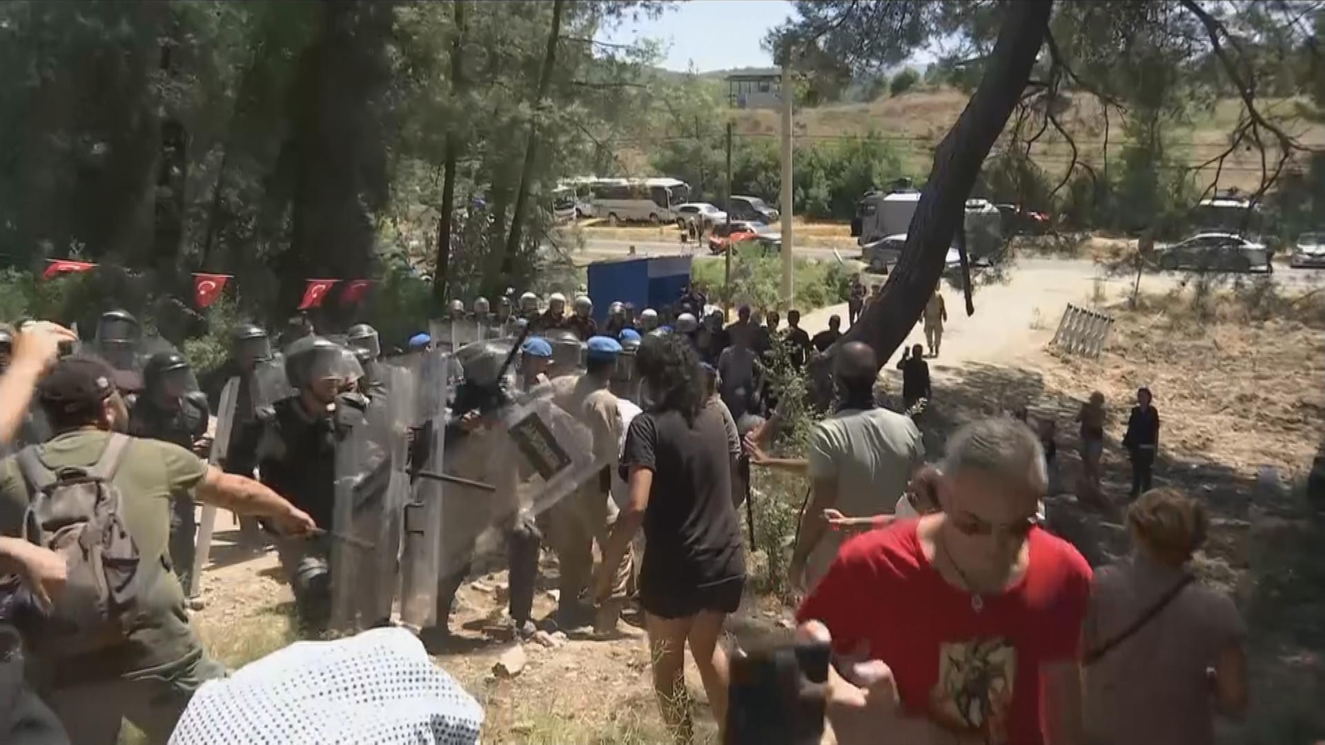 Türkei: Abholzung des Akbelen-Forsts