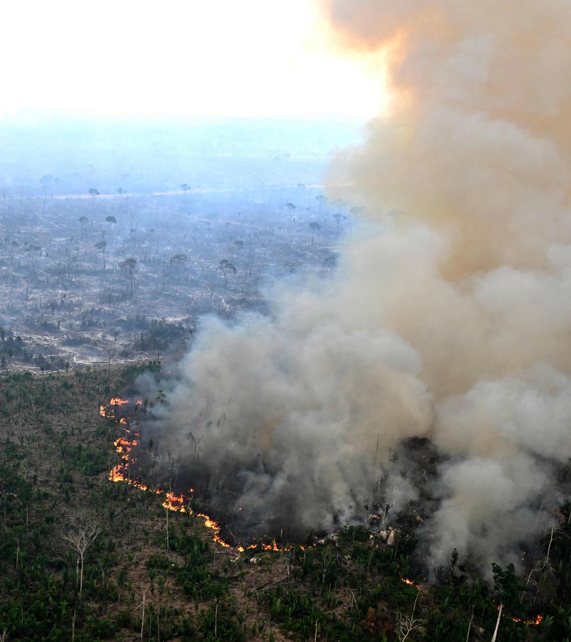 Eine verbrannte Fläche des Waldes im Amazonas Gebiet