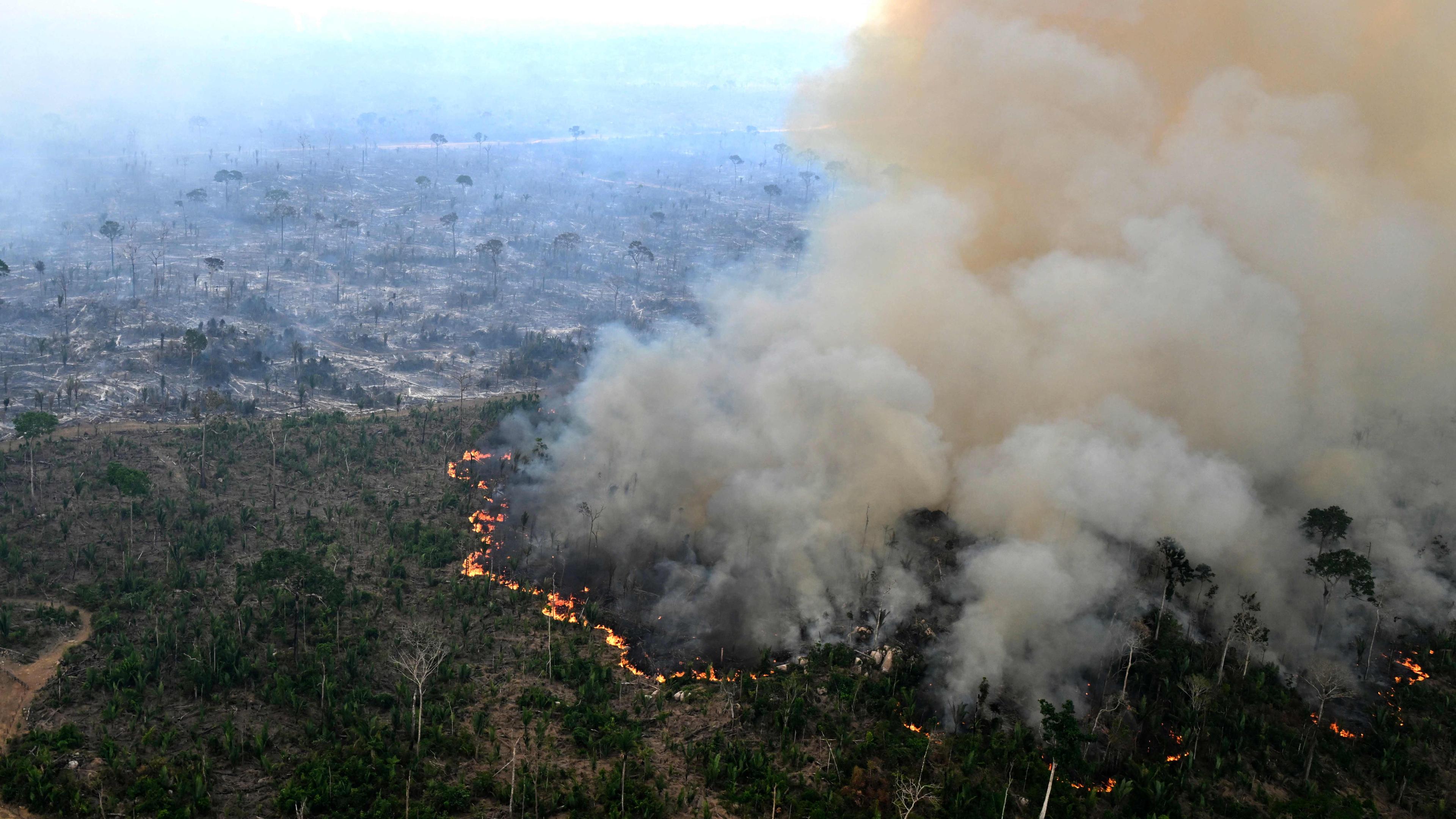 Eine verbrannte Fläche des Waldes im Amazonas Gebiet