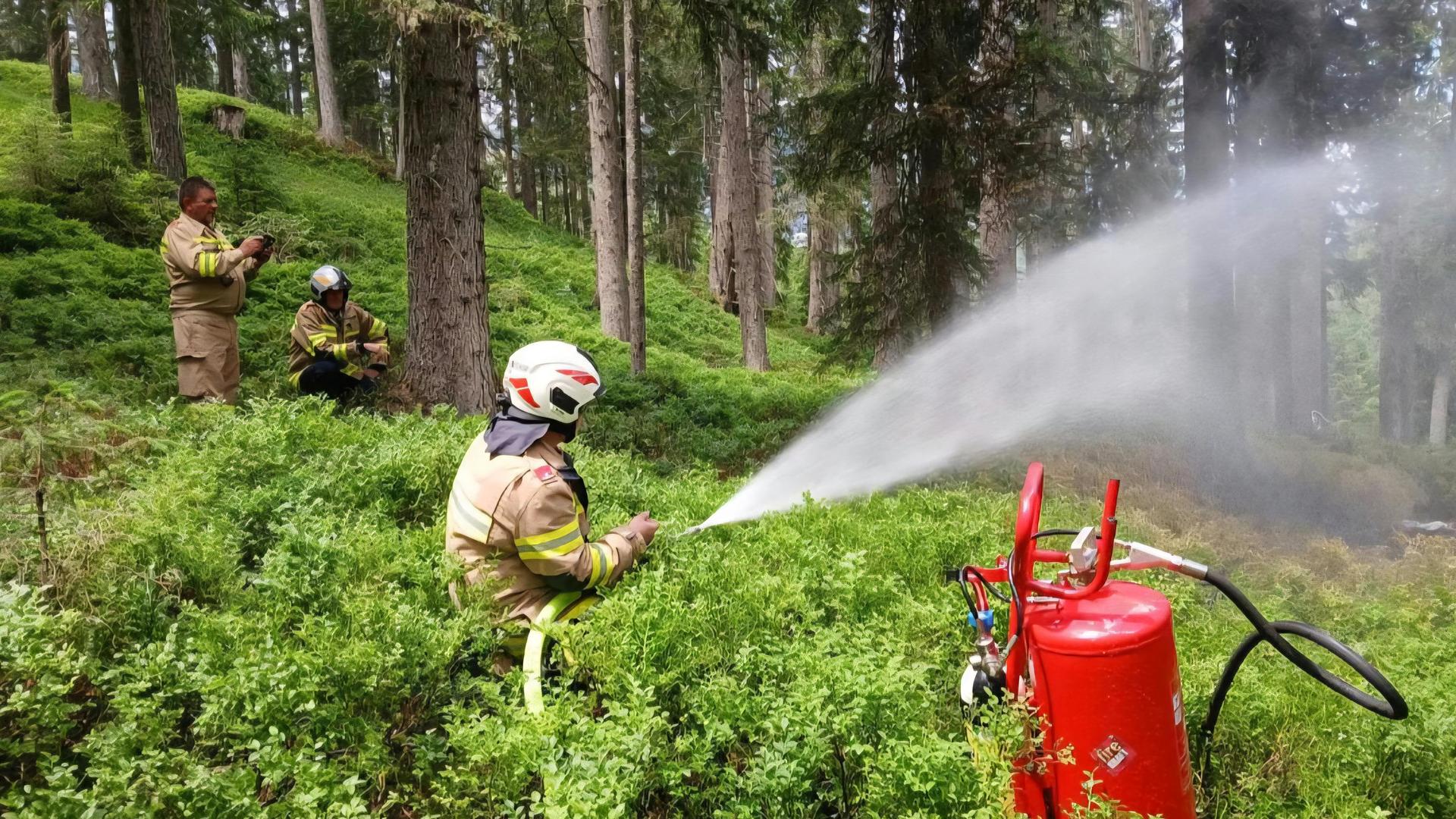 Die Feuerwehr löscht einen Brand nach dem Absturz eines Kleinflugzeuges in der Nähe von Wald im Pinzgau. Beim Absturz eines Kleinflugzeugs in Österreich sind laut Polizei vier Deutsche ums Leben gekommen. Es handle sich um drei Männer und eine Frau. 