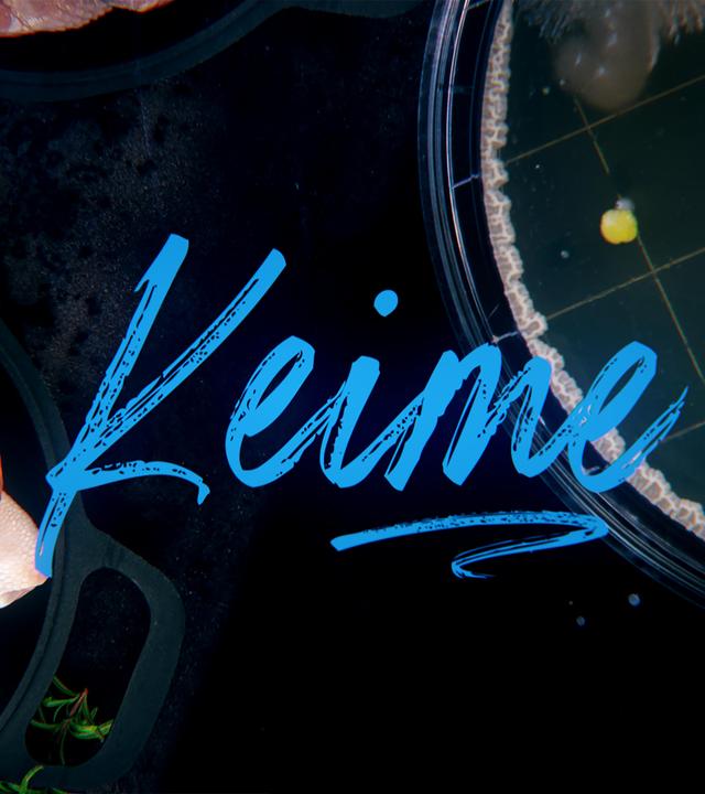 Achtung, Essen! Keime