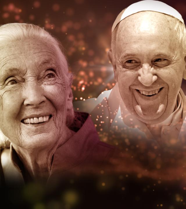 Adieu Titelbild ohne Logo