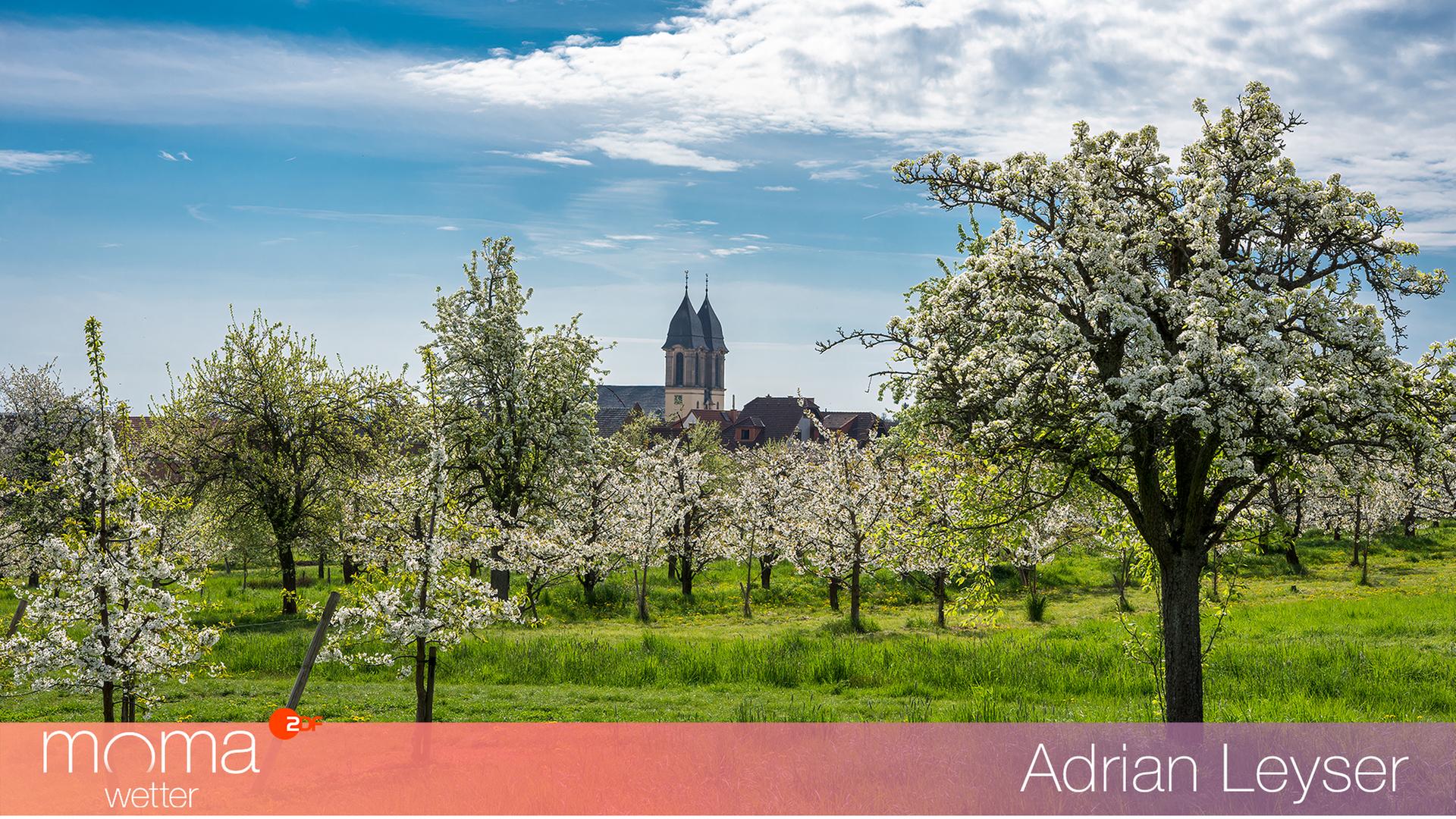 Gewinnerfoto vom 17. April 2025