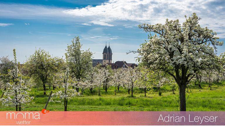 Gewinnerfoto vom 17. April 2025