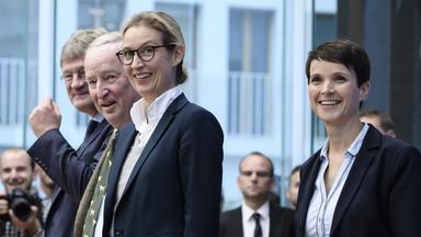 Afd nach der Wahl
