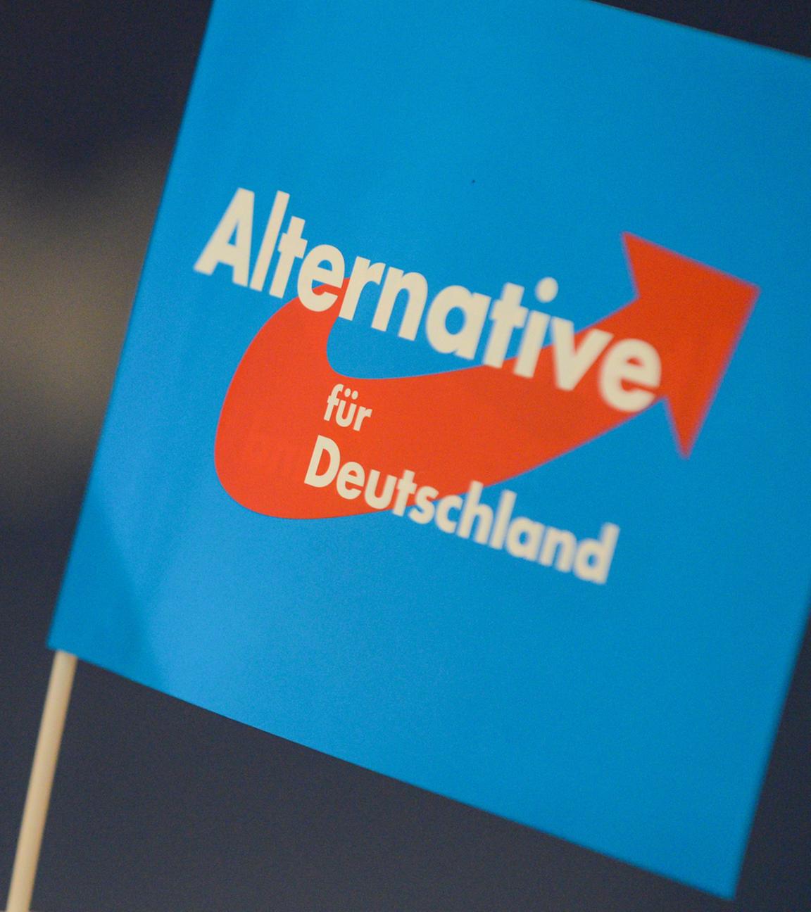 Fähnchen der AfD