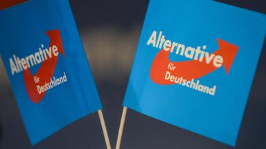 Fähnchen der AfD
