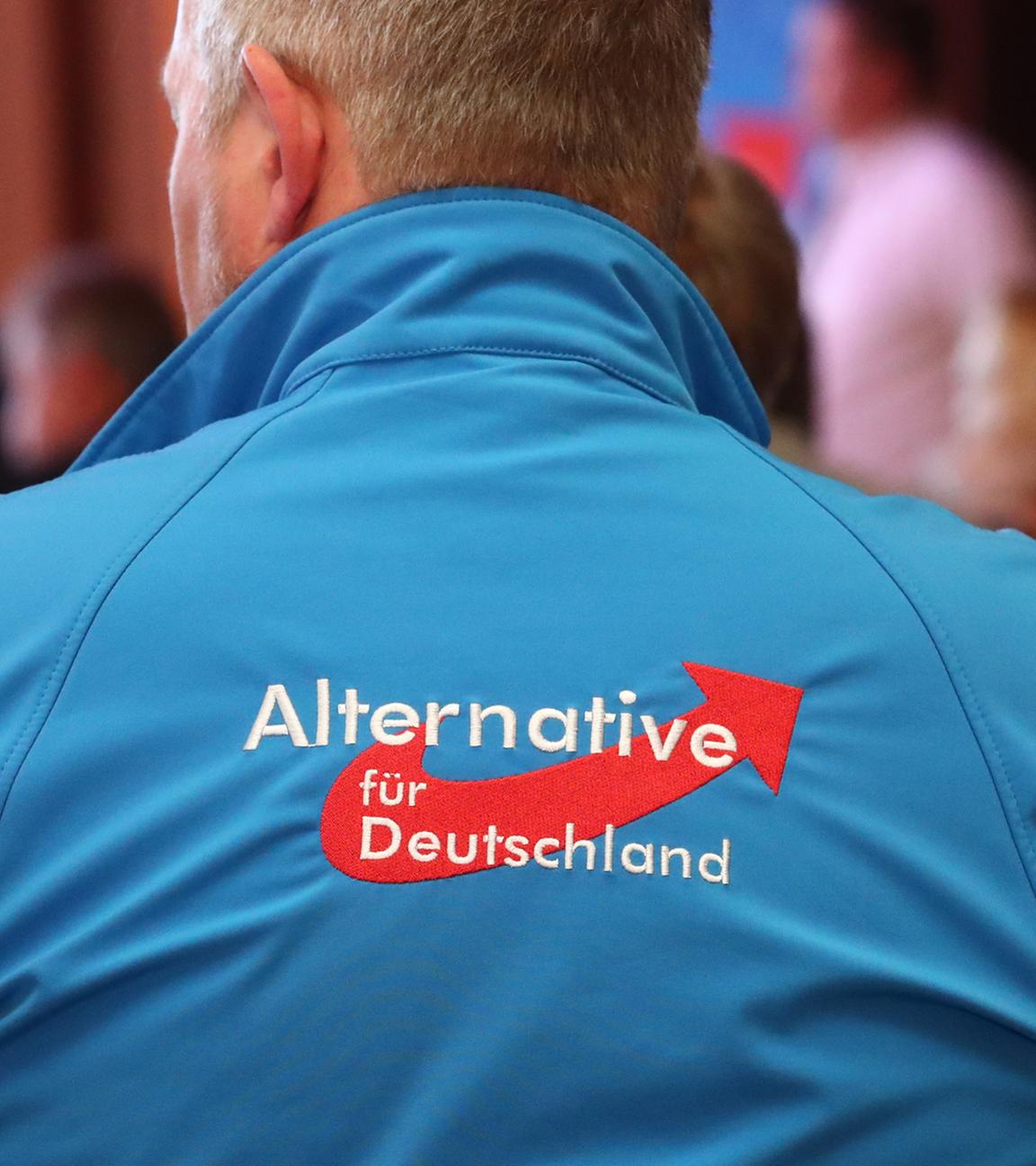 Archiv: Delegierte sitzen beim AfD-Landesparteitag am 03.11.2018 in Pfiffelbach im Tagungsraum