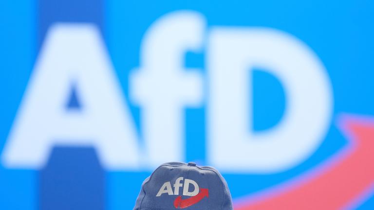 Archiv: Ein Delegierter der AfD- Europawahlversammlung spricht in einer Halle der Messe Magdeburg.