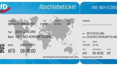 AfD, Abschiebeflyer