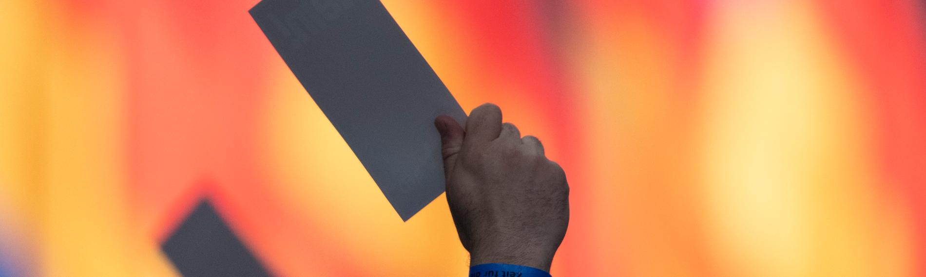 Abstimmung auf Parteitag der AfD