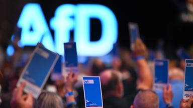 AfD will eine neue Parteijugend gründen