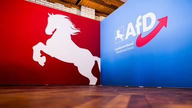 Eine Stellwand des AfD-Landesverbands Niedersachsen.