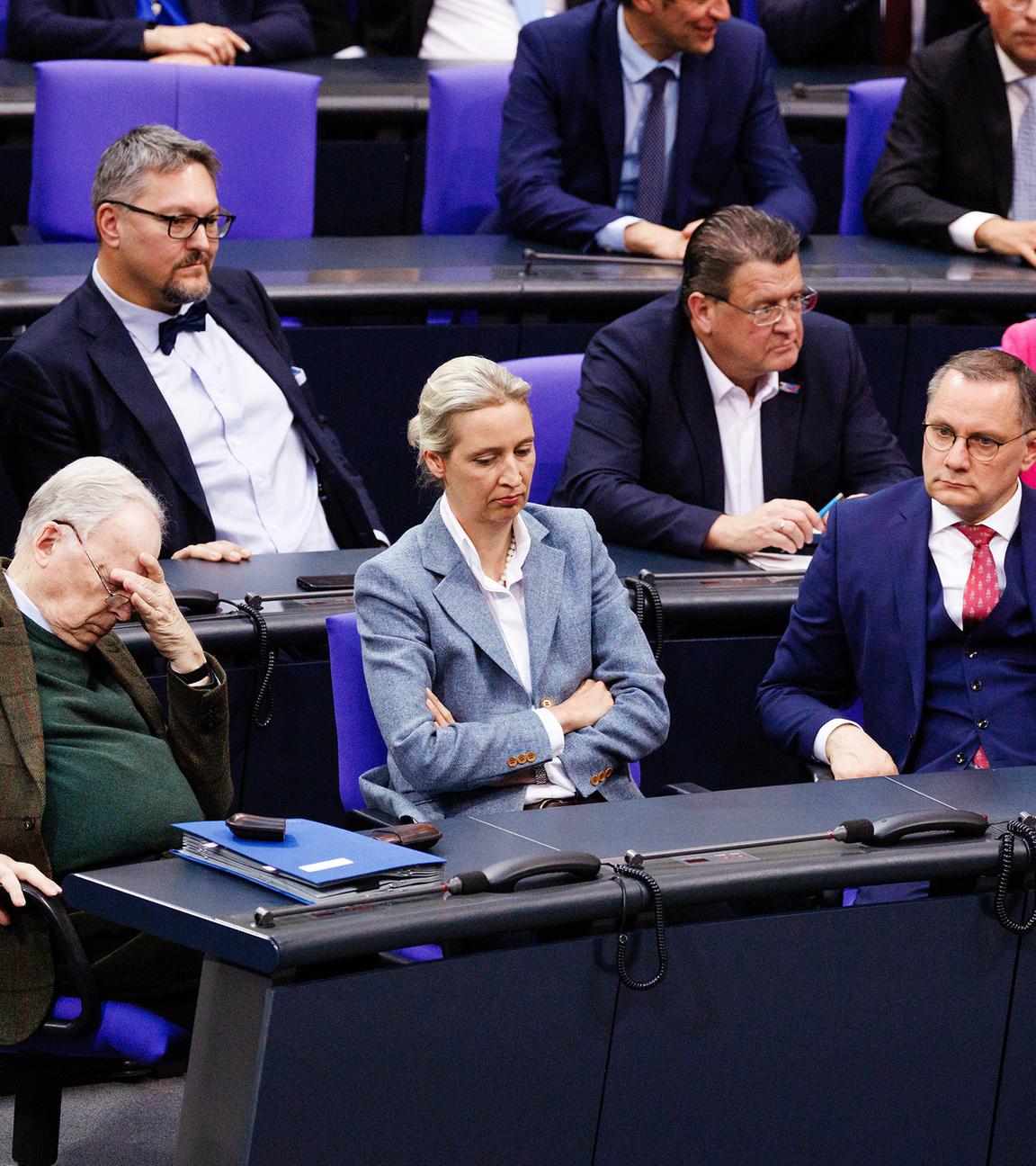 AfD im Bundestag