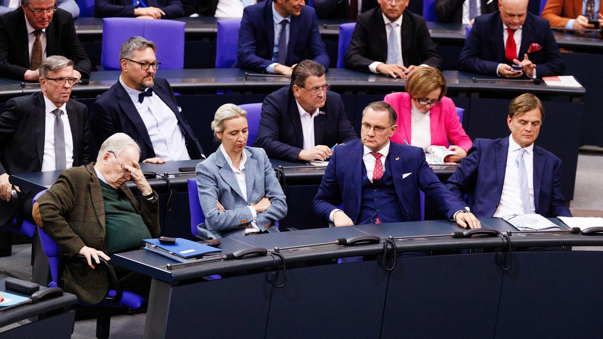 AfD im Bundestag