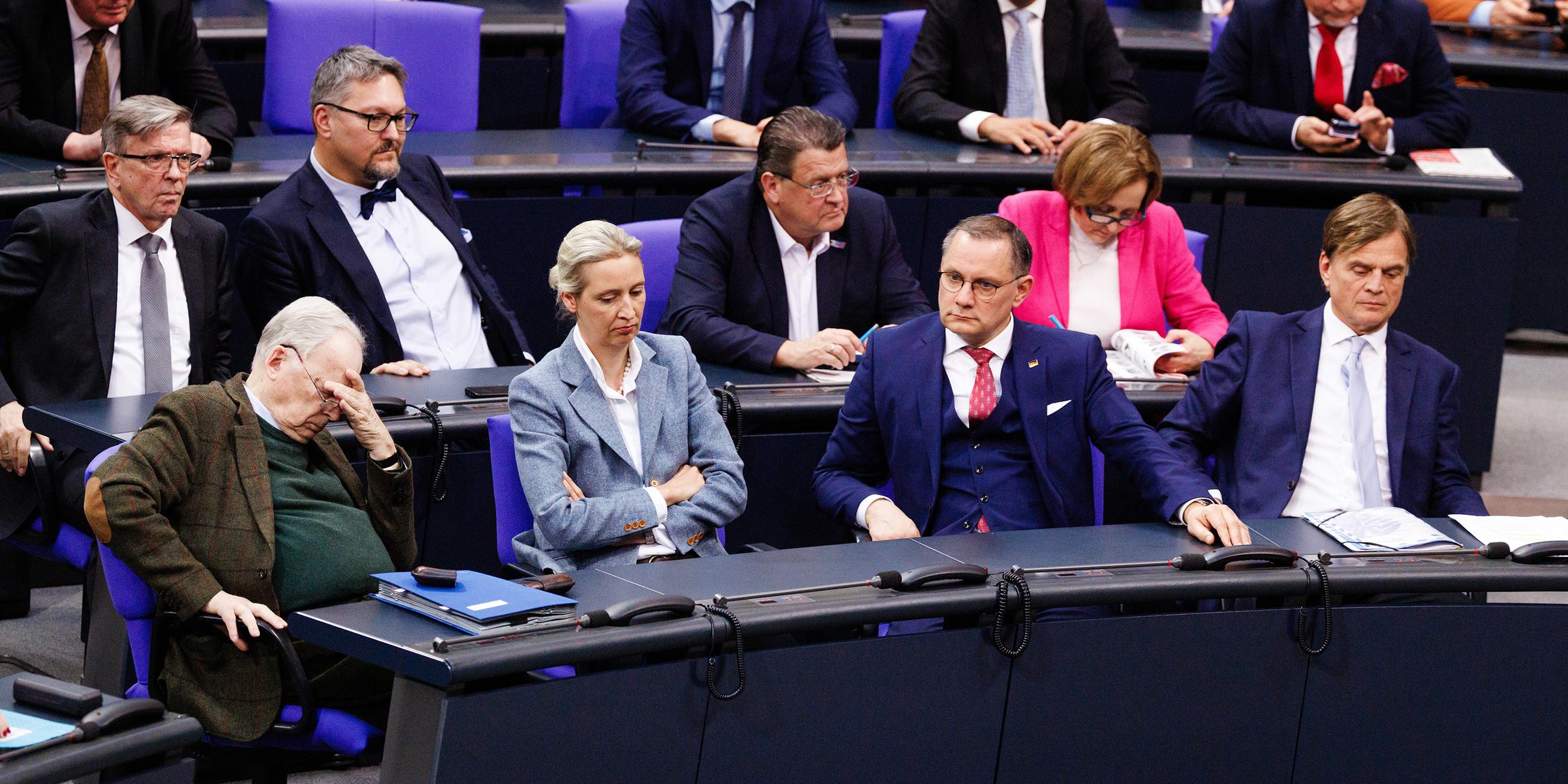 AfD im Bundestag
