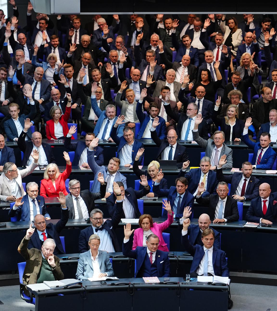 Die AfD-Fraktion stimmt über einen Antrag ab bei der konstituierenden Sitzung des neuen Bundestags.