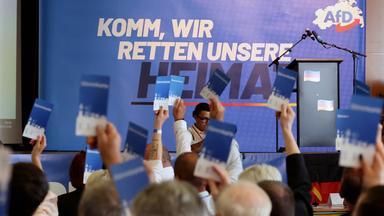 Auf dem Landesparteitag der AfD wird über einen Antrag abgestimmt.