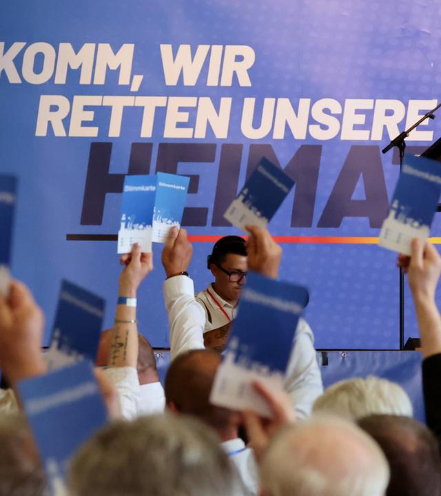 Auf dem Landesparteitag der AfD wird über einen Antrag abgestimmt.