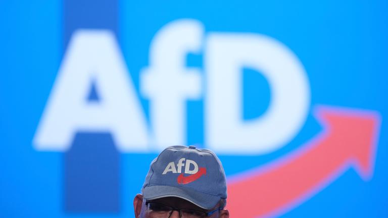 Ein Delegierter der AfD- Europawahlversammlung spricht in einer Halle der Messe Magdeburg