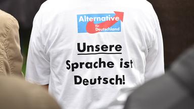 Person trägt ein T-Shirt mit der Rückenaufschrift "Unsere Sprache ist Deutsch" und dem Logo der AfD am 03.09.2018 in Abendsberg, Deutschland.
