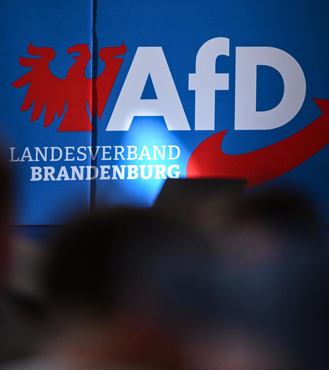 Archiv: Teilnehmer sitzen in der Auftaktveranstaltung der AfD in Brandenburg zur Landtagswahl vor dem Parteilogo.