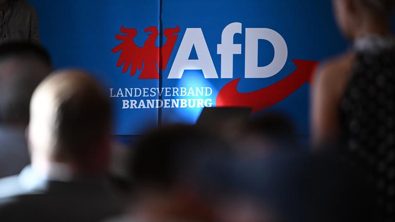 Archiv: Teilnehmer sitzen in der Auftaktveranstaltung der AfD in Brandenburg zur Landtagswahl vor dem Parteilogo.