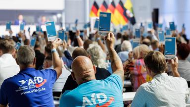 Was Sachsen-Anhalts AfD plant - und wem das Sorge bereitet