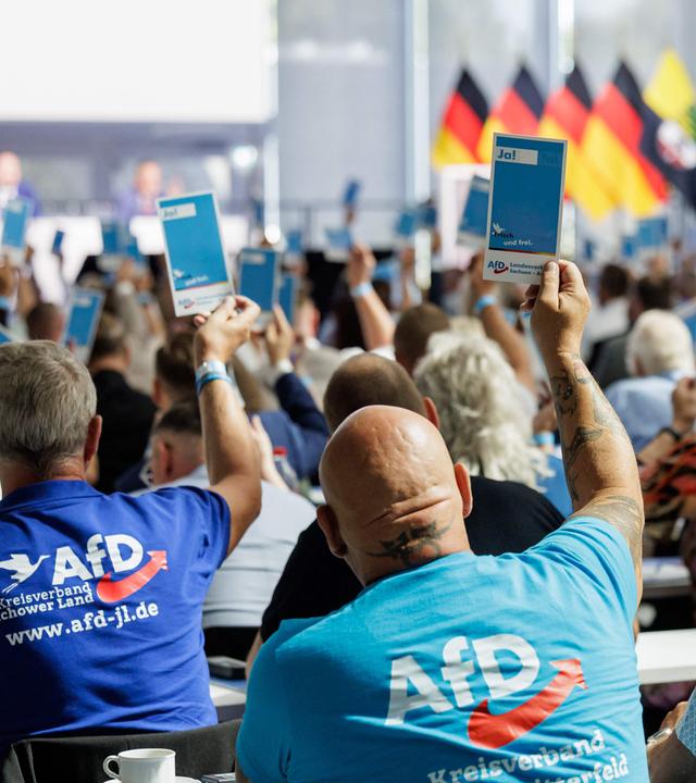 Delegierte heben ihre Stimmkarten während des Landesparteitags der Alternative für Deutschland (AfD) am 11. Juli 2026 in Magdeburg.