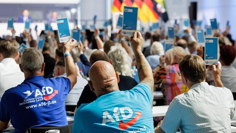 Delegierte heben ihre Stimmkarten während des Landesparteitags der Alternative für Deutschland (AfD) am 11. Juli 2026 in Magdeburg.