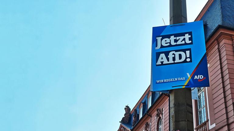 AfD-Wahlplakat vor dem Landtag in Rheinland-Pfalz